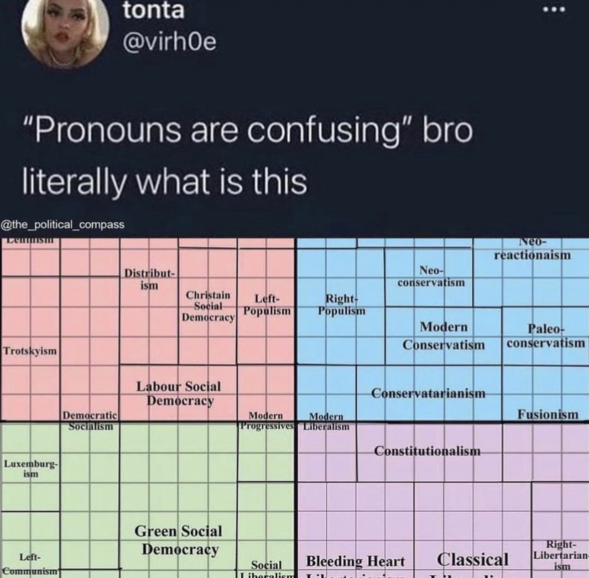 meme about indentity politics and political compass and how complex they are